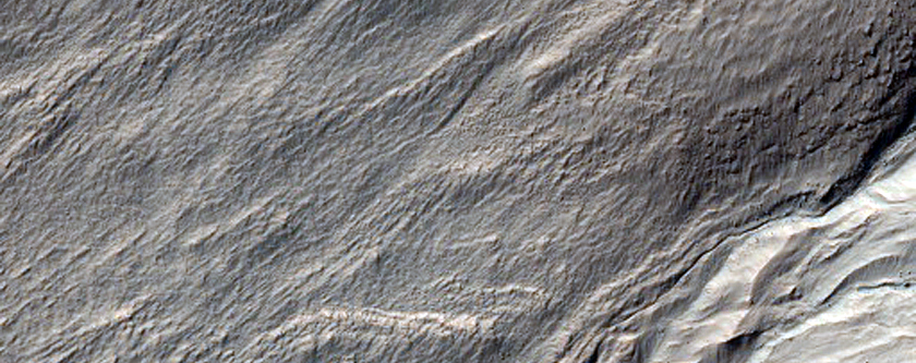 Young Gullies Superposing Dissected Mound