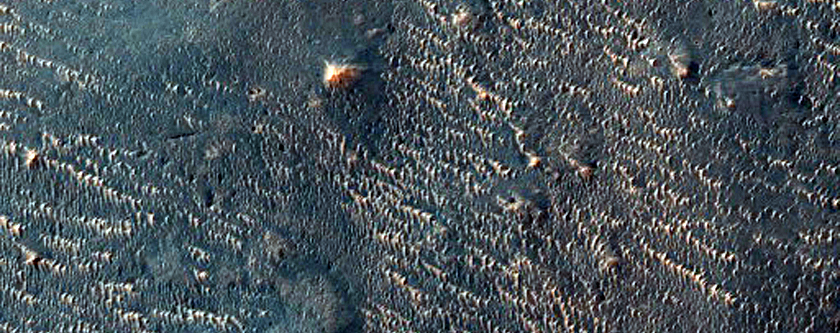 Candidate Landing Site in a Possible Salt Playa