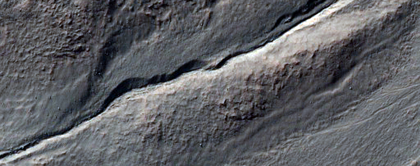 Gullied Crater Wall