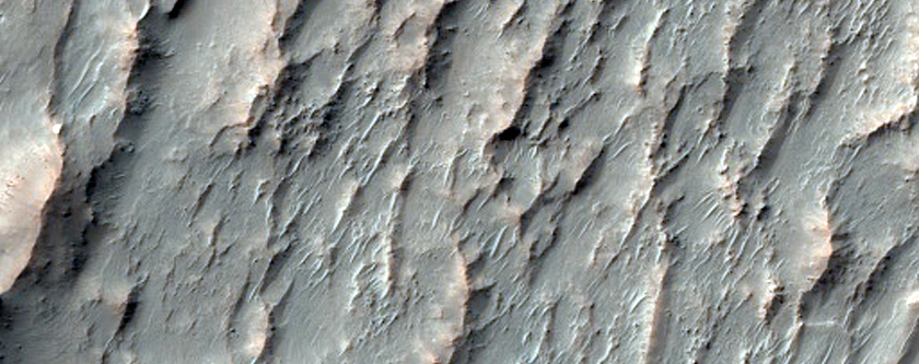 Clay-Bearing Crater Fill in Sirenum Fossae
