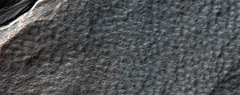 Gullied Crater Wall