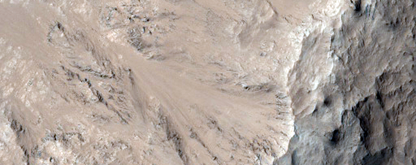 Light-Toned Layered Exposure in Isidis Planitia Crater