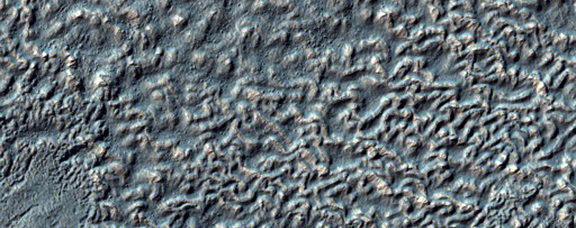 Older Gullies and Channels in Slopes of Softened Large Crater