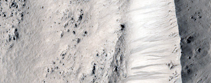 Well-Preserved Large Crater Near Tempe Terra