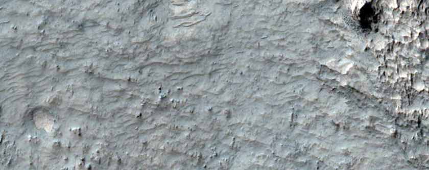 Layers North of Hellas Planitia with Strong Phyllosilicate Signature