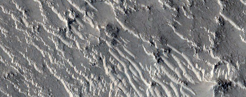 Converging Lobate Flow Fronts in Isidis Planitia
