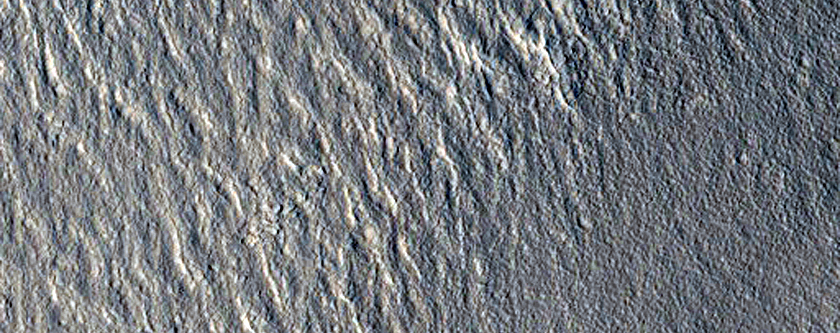 Knobs in Arcadia Planitia