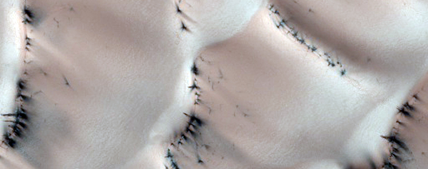 Cracks and Fans on Dunes
