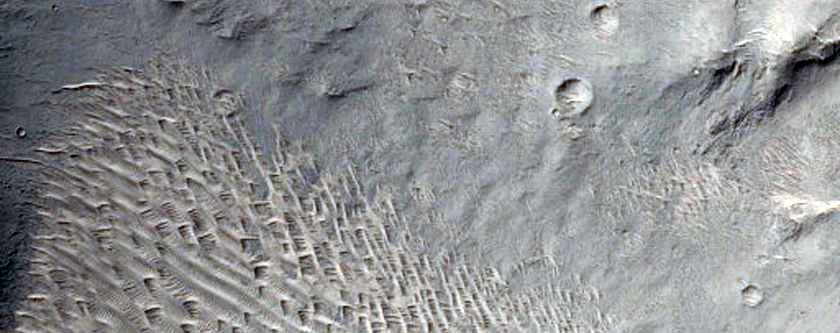 Large Central Uplift of an Impact Crater