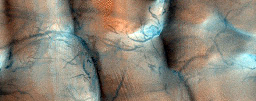 Dune Field in Hellas Planitia