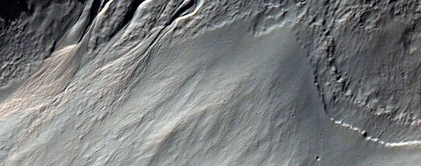 Light-Toned Gully Apron in Terra Cimmeria