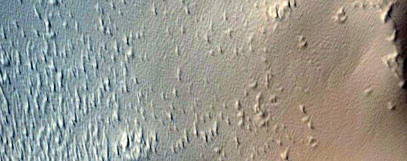 Fracture in Pavonis Mons Aureole