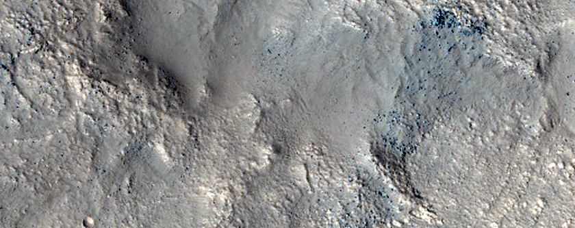 Gullies and Albedo Contacts in Nier Crater