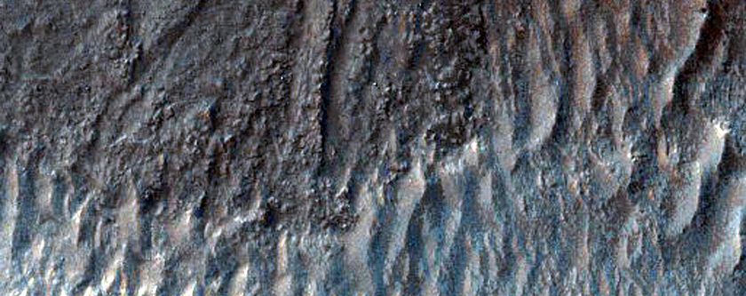 Barrancos en un crter en Hellas Planitia