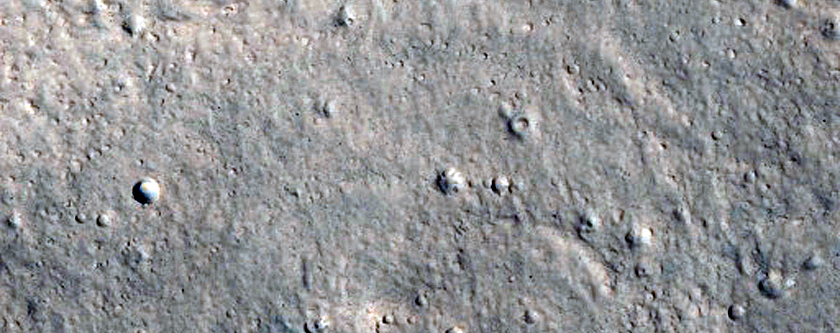 Gullies in Tempe Terra