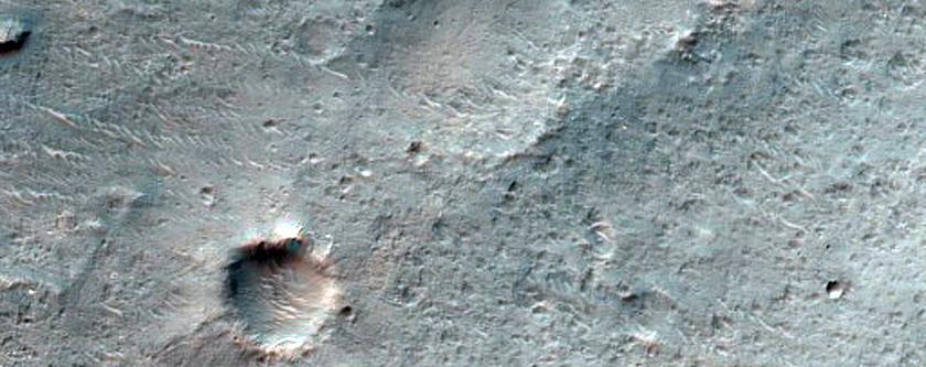 Possible Phyllosilicate-Rich Terrain