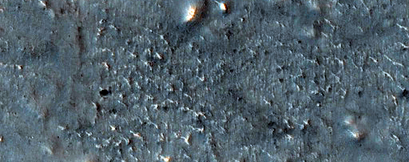 Northern Plains Sample