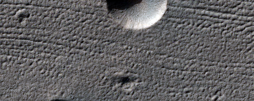 Rimless Pits in Reull Vallis Fill Material