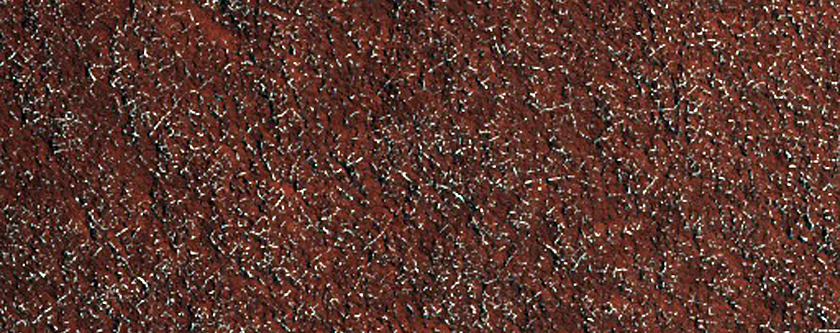 Persistent Northern Plains Ice Deposit Monitoring