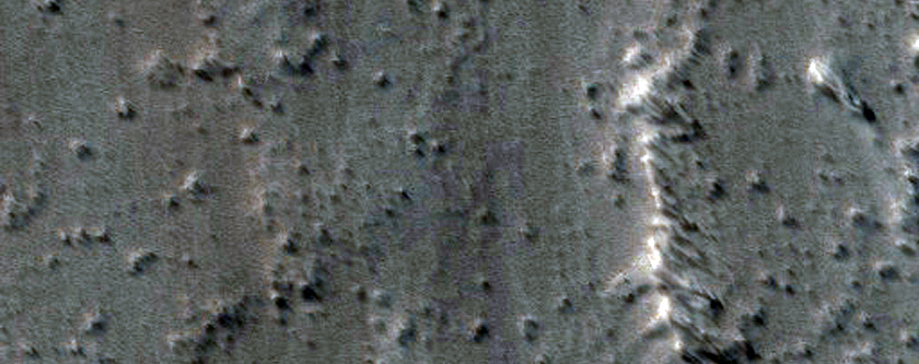 Candidate Fresh Impact Site Formed Between July 2007 and July 2009