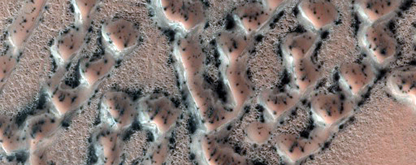 Polygons on Defrosting Dunes