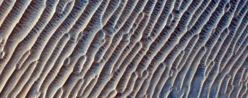 Isidis Region Boundary of Noachian Epoch Olivine-Rich Terrain
