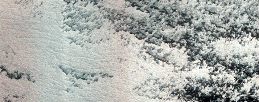 Persistent Northern Plains Ice Deposit Monitoring