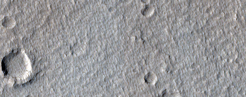 Contact Between Elysium Mons and Rise Lavas