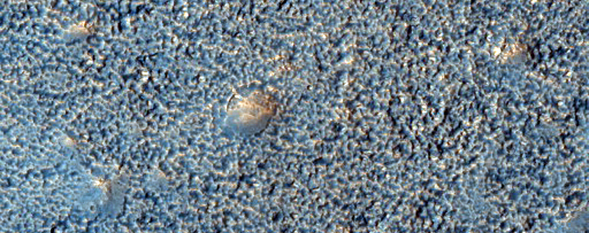 Northern Plains Sample
