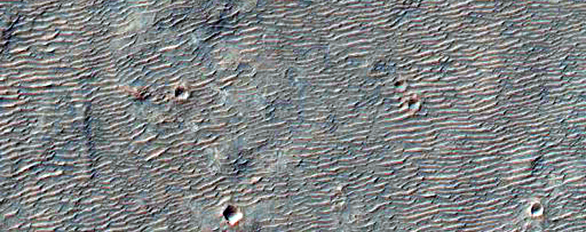 Fans with Sinuous Ridges in Crater