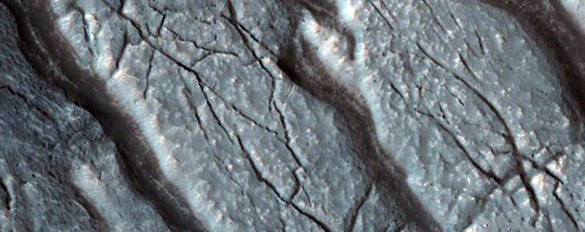 Large-Scale Slumping in Moreux Crater