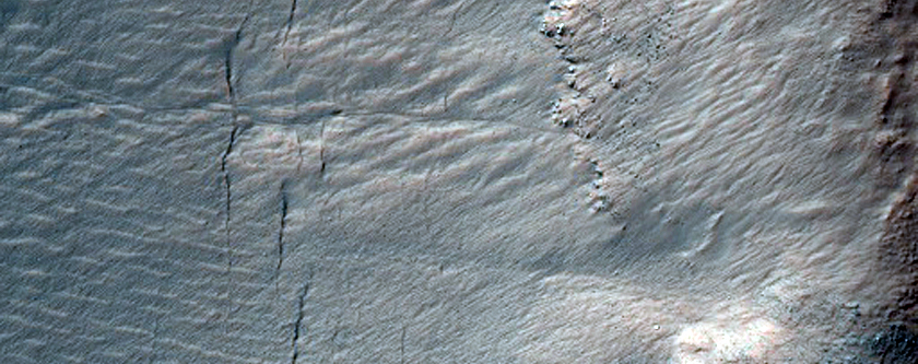 Gullied Crater Wall