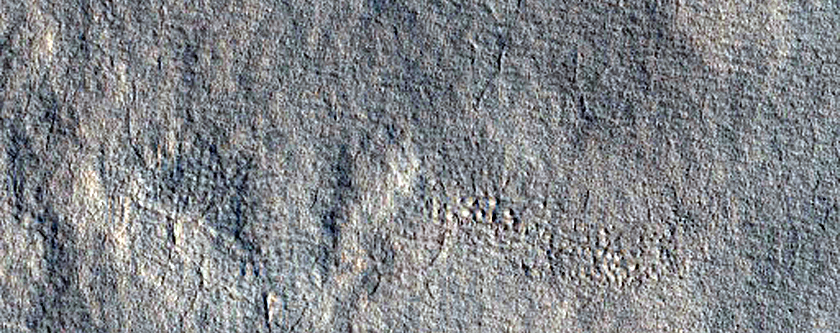 Nilosyrtis Mensae Fretted Terrain