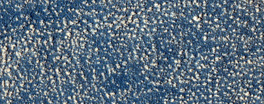Arcadia Planitia Active Albedo Boundary