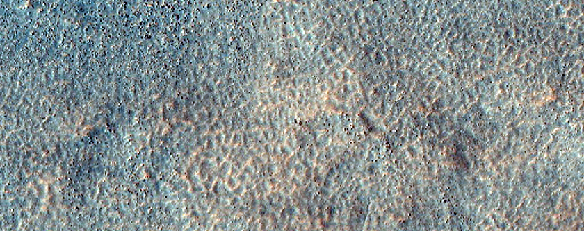 Sample Northern Plains