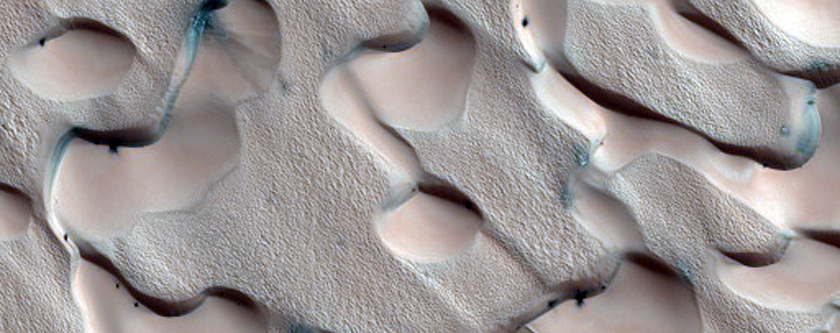Features and Fans and Polygons on Dunes