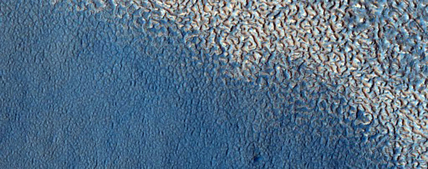 Arcadia Planitia Active Albedo Change Monitoring