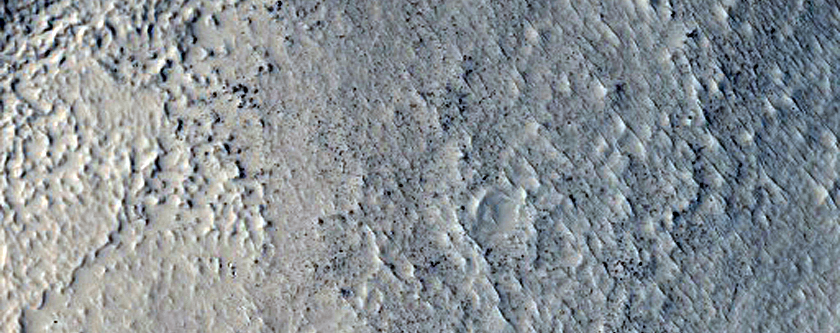 Nilosyrtis Mensae Fretted Terrain