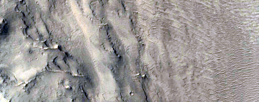 Medial Ridge of Elongated Crater Near Mawrth Vallis