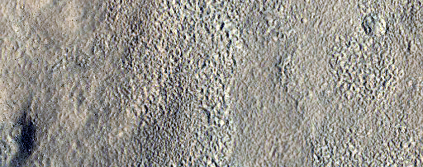 Albedo Boundary in Utopia Region