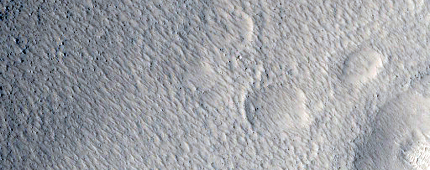 Nilosyrtis Mensae Fretted Terrain
