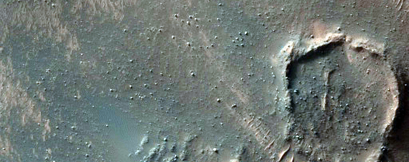 Very Unusual Bedforms and Erosional Features