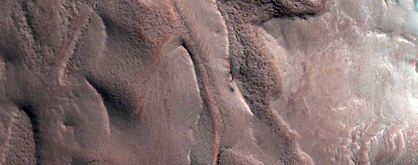 Monitor North Polar Scarp for Active Frost-Dust Avalanches