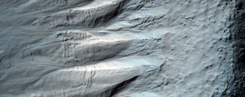 Gully Aprons in a Crater in Newton Crater