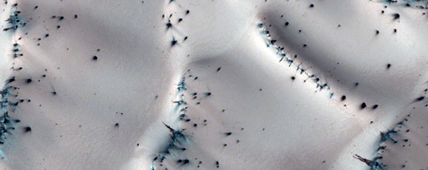 Cracks and Fans on Dunes