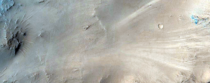 Central Uplift of a Large Impact Crater