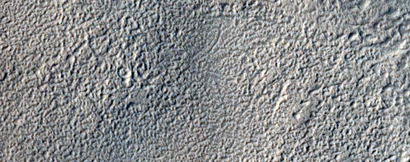 Candidate Fresh Impact Formed Between March 2005 and January 2010