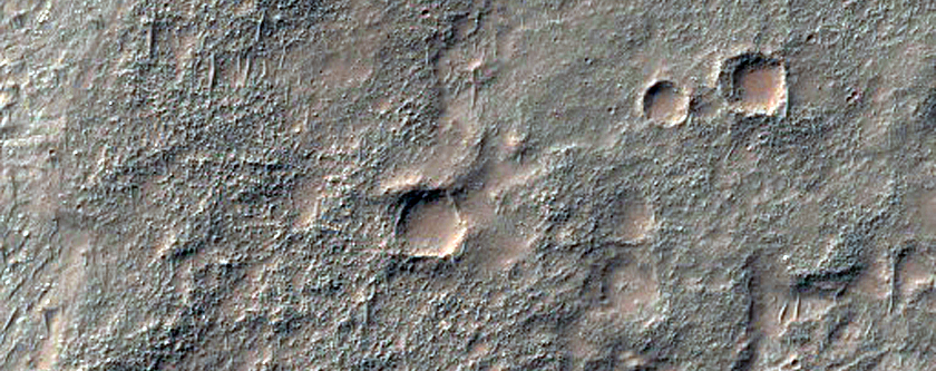 Possible Chloride Salts in Bosporos Planum
