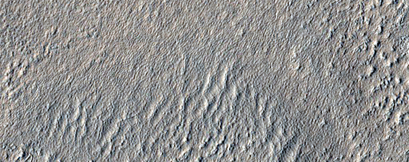 Northern Plains West of Erebus Montes