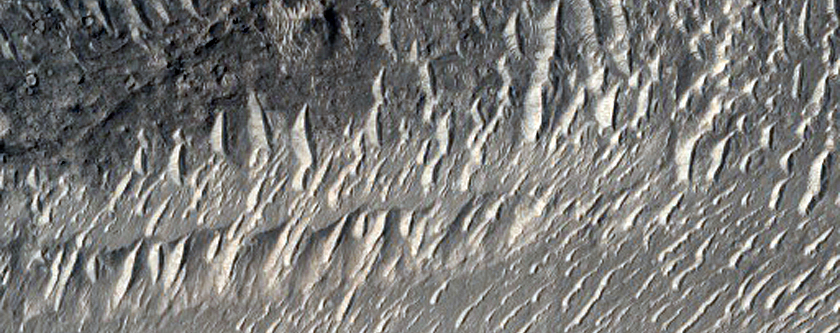 Rocky Mesas in Western Elysium Planitia